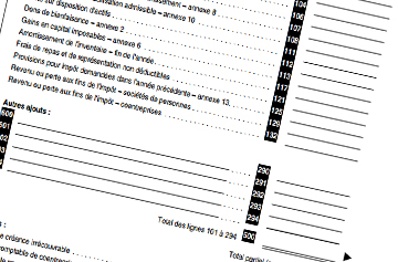 Income tax returns for companies and individuals related to these companies